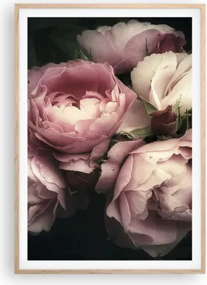 Produktbild von Gerahmtes Poster - Rahmen in heller Eiche - Pfingstrose Blume - 70x100 cm - Wand Bild - Wanddeko - Wandbilder - Wandposter - Bilderrahmen - Bilder - Kunstdruck - Wandbild - P2NPA70x100-3930
