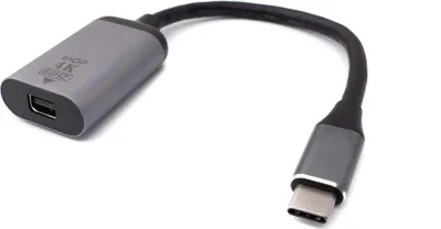 Produktbild von SYSTEM-S Display Port Kabel 20 cm Mini DP Buchse zu USB 3.1 Typ C Stecker in Grau