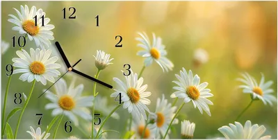 Produktbild von Wanduhr aus Glas mit Motiv Blühende Gänseblümchen- 60 x 30 cm - inkl. Aufhängesystem