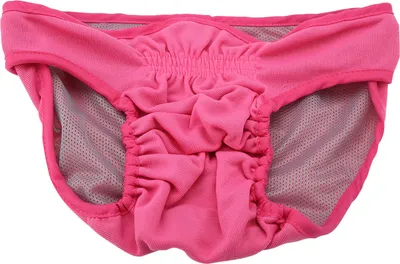Produktbild von Physiologische Hundehose,Hundeunterwäsche,Hundeunterwäsche für Frauen,Polyesterhosen für Hunde,Hundehygiene-Binde