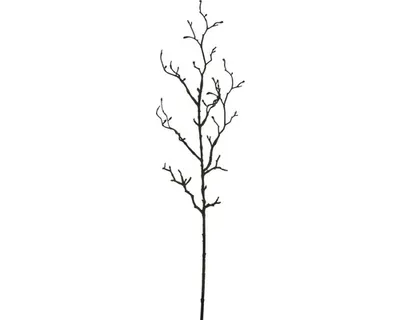 Produktbild von Mica künstlicher Zweig braun, 78 cm