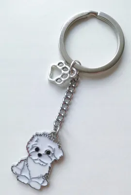 Image de Porte-Clesse Porte-Clesse Chien Blanc Malteser