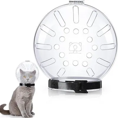 Produktbild von Kleiner Katzenkamm aus Kunststoff, ideal für Katzenbaden und Scheren
