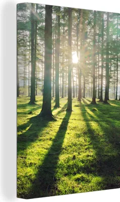 Produktbild von MuchoWow® - Leinwandbilder - Bäume - Natur - Wald, Wandbild, Wanddeko Bilder Wohnzimmer, 40x60 cm