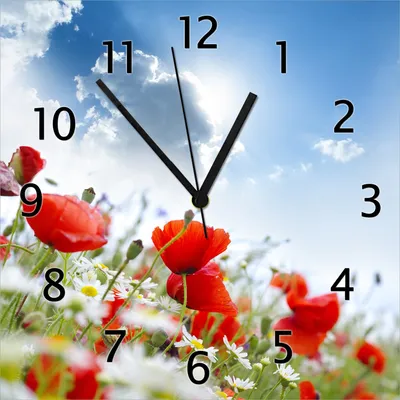 Produktbild von Wallario Design Wanduhr Mohnblumen unter blauem Himmel aus Echtglas, Größe 30 x 30 cm