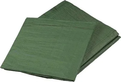 Image de DEN BRAVEN film de protection avec grille métallique Profi vert 3 × 4 m, 120 g/m2