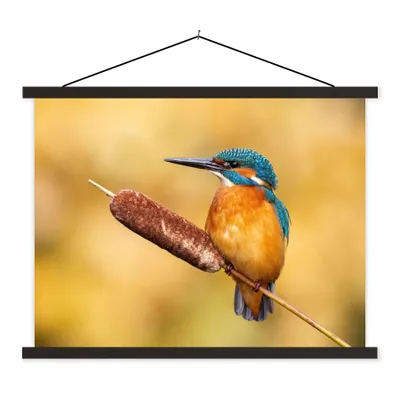 Produktbild von MuchoWow® Textilposter Eisvogel - Natur - Vogel 40x30 cm mit schwarzem Rahmen - Dekorationen