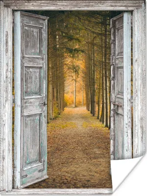 Produktbild von MuchoWow® Poster Wald - Herbst - Ausblick 90x120 cm - Wohnzimmer