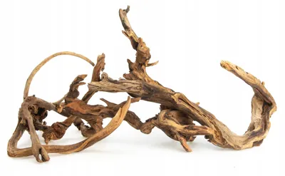 Zdjęcie produktu dla Dekoracja akwariowa – korzeń, zestaw kamieni TD (5–8 szt.), 60 x 35 cm, naturalny brąz