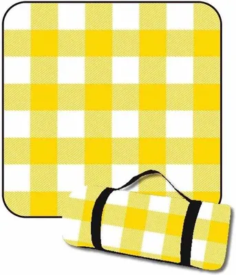 Produktbild von Famanu Picknickdecke 200 x 200 cm wasserabweisend und wärmeisolierend - Sandfreie Stranddecke