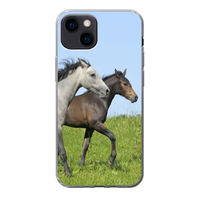 Produktbild von MuchoWow® Handyhülle Schutzhülle Hülle für iPhone 13 mini Pferde - Tiere - Gras Silikon Softcase Handy Hülle - Softcase