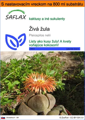 Obrázok produktu pre SAFLAX Garden in the bag - živá žula - Pleiospilos nelii - 40 Semená - S pestovateľským substrátom v praktickom samostaviteľnom vrecku