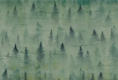 Produktbild von Tadessi Fototapete | Wald | 4.00 m x 2.70 m | Grün |  | Wandbild | Digitaldruck