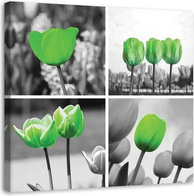 Produktbild von Leinwandbild grüne tulpen collage 30x30 cm Feeby grün wandbild bereit zum aufhängen