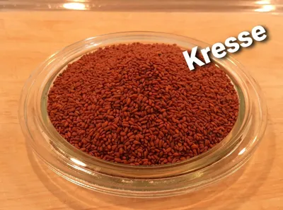 Produktbild von LanDixx Kresse Gartenkresse  1 kg Kressesamen Saatgut Lepidium sativum Küchenkräuter