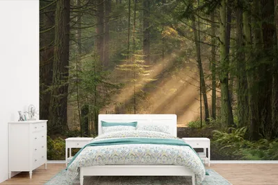 Produktbild von MuchoWow® Fototapete für Wohnzimmer oder Schlafzimmer Wandtapete Vinyl Motivtapete Wald - Baum - Weg - 360x240 cm - Vinyl-Tapete