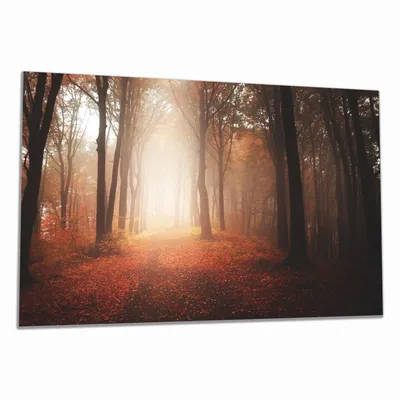 Produktbild von Wallario Herdabdeckplatte aus Glas, Größe 80 x 52 cm 1-teilig, Motiv Herbstwald - Weg zu einer Lichtung im Wald