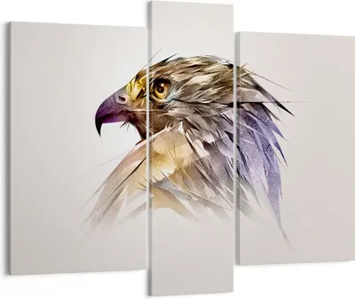 Produktbild von Bild auf Leinwand - Leinwandbild - Adler Vogel Feder - 95x80cm - Wand Bild - Wanddeko - Wandbilder - Leinwanddruck - Bilder - Kunstdruck - Wanddekoration - Leinwand bilder - Wandkunst - CB95x80-3936