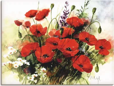 Produktbild von Franz Heigl: Blumen Zusammenstellung III, Produkt:Leinwand, Größe:90x120 cm / Leinwand