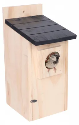 Immagine prodotto di Nido per cinciallegre e passeri, in legno di pino