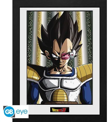 Zdjęcie produktu dla Wydruk Dragon Ball Z z ramką: Vegeta (40 x 30 cm)