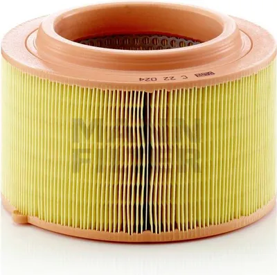Immagine prodotto di Filtro aria MANN-FILTER C 22 024