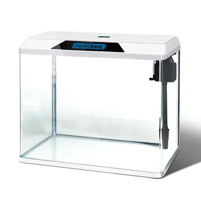 A white aquarium with a black filter and a blue LED light strip on top.