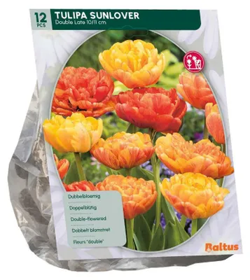 Productafbeelding van Tulipa Sunlover 12 stuks bloembollen Baltus
