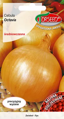 Zdjęcie produktu dla Nasiona cebuli Octavia 200 sztuk - Torseed