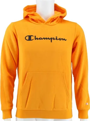 Produktbild von Sweatshirts Champion Big Logo Print 305358YS113