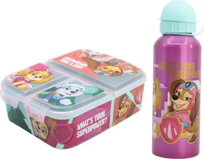Produktbild von Paw Patrol Skye Liberty Everes 2 tlg Kinder Set Brotdose Alu Trinkflasche 530 ml