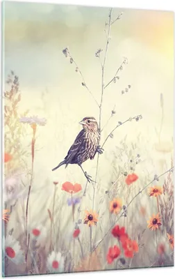 Produktbild von Bilder auf glas - Einteilig - Vogel Wildschwein Wiese - 50x70cm - Glasbilder - Wandbilder - Bilder - zum Aufhängen bereit - Wanddekoration aus Glas - Glas Bilder - Wandbild auf Glas - GPA50x70-4279