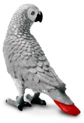 Zdjęcie produktu dla Safari Ltd 100201 Papuga afrykańska szara 5 cm Bird World