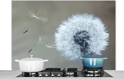 Produktbild von KitchenYeah®  Spritzschutz Küche - Küchenrückwand - Wandschutz für Herd und Spüle - Löwenzahn - Blume - Pflanze 120x80 - Alu-Dibond (Alternative zum Spritzschutz aus Glas) - Hitzebeständig - Herdsprit