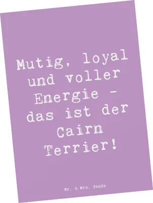 Produktbild von Mr. & Mrs. Panda Postkarte Spruch Mutiger Cairn Terrier - Lavendeltraum - Geschenk, Hunde, Hunderassen Beschreibung, Postkarten, Begleiter, Hunderasse, loyal, Fotokarte