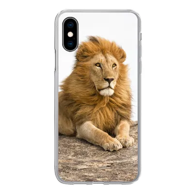 Produktbild von MuchoWow® Handyhülle Schutzhülle Hülle für iPhone X Löwe - Mähne - Tier Silikon Softcase Handy Hülle - Handyhülle