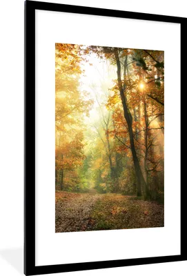 Produktbild von MuchoWow® Gerahmtes Poster Wald - Herbst - Sonne - Landschaft - Natur - Bäume - Laub 60x90 cm - Poster mit Schwarzem Bilderrahmen Wandposter Rahmen Foto Bilder - Dekoration - Wandposter Wohnzimmer - Hochwertig