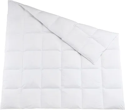 Produktbild von Traumschlaf Daunendecke Himalaya extra warm, Füllung: 100% Daunen 200x200 cm