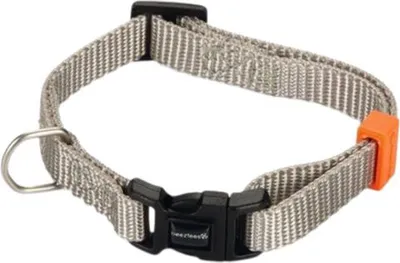 Produktbild von Beeztees Uni - Hundehalsband - hellgrau - 20-30 cm x 10 mm