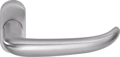 A silver door handle with a rosette, shown against a white background.