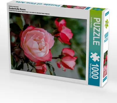 Produktbild von Calvendo Ein Motiv aus dem Kalender Zauberhafte Rosen 1000 Teile Puzzle hoch 480x640mm, Potratz Andrea; 7351952
