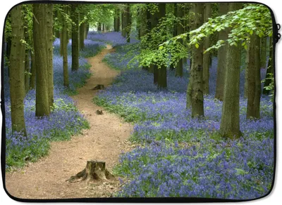 Produktbild von MuchoWow® Laptop Hülle 14 ZollWald - Weg - Blumen - Blau Laptoptasche - Laptoptasche - Stoßsicher - Schutzhaube