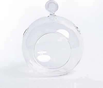 Produktbild von Weihnachtskugel Glas - Tillandsie und Rentiermoos