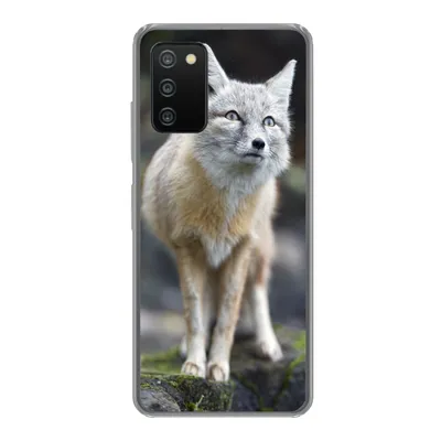Produktbild von MuchoWow® Handyhülle Schutzhülle Hülle für Samsung Galaxy A03s Fuchs - Makro - Baum Silikon Softcase Handy Hülle - Schutz