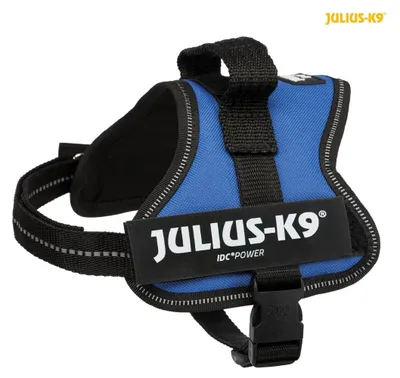 Produktbild von Julius-K9® Powergeschirr®, XS / Mini-Mini: 40–53 cm / 22 mm, blau