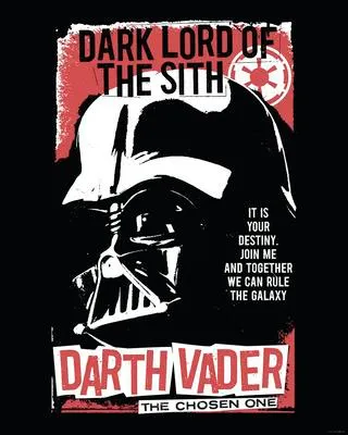 Produktbild von Poster Star Wars Darth Vader The Chosen One 40x50 cm