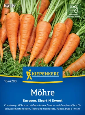 Produktbild von Kiepenkerl Möhrensamen Short N Sweet Daucus carota 8-10 lfd. Meter