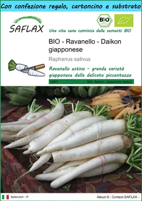 Immagine prodotto di SAFLAX Set regalo - BIO - Ravanello - Daikon giapponese - 100 semi - Raphanus