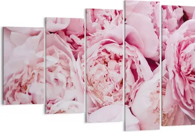 Produktbild von Bild auf Leinwand - Leinwandbild - 5 Teile - Blumenstrauß Blumen Rosa - 150x100cm - Wand Bild - Wanddeko - Wandbilder - Leinwanddruck - Bilder - Wanddekoration - Leinwand bilder - EG150x100-5001