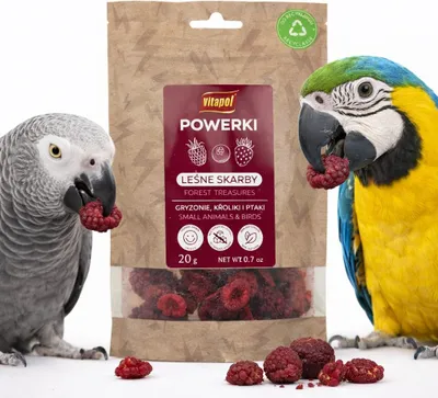 Zdjęcie produktu dla Powerki Leśne Skarby - Liofilizowane Owoce Leśne dla Papug 20 g